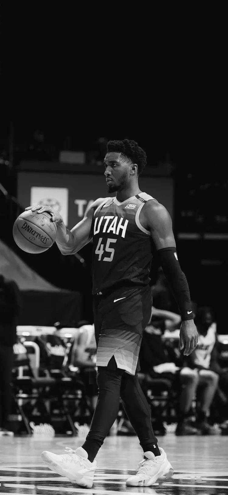 高度认可 高度认可