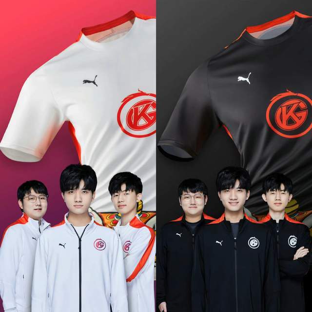 全面发展的 全面发展的