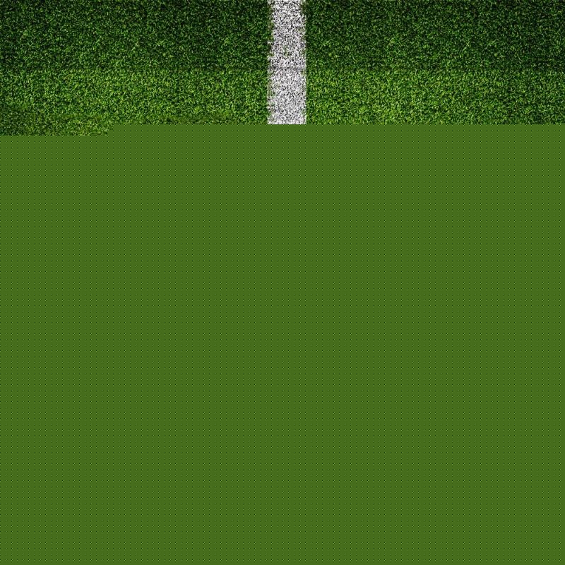 得到证实的 得到证实的