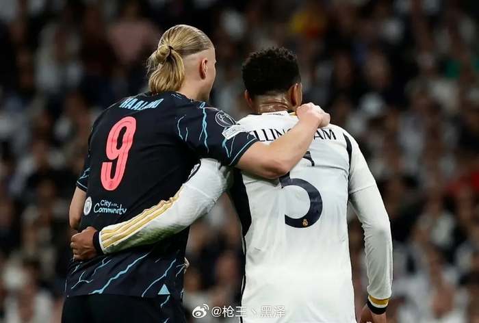 的训练范式 的训练范式